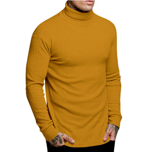 Herren modischer Rollkragenpullover Stilzeits