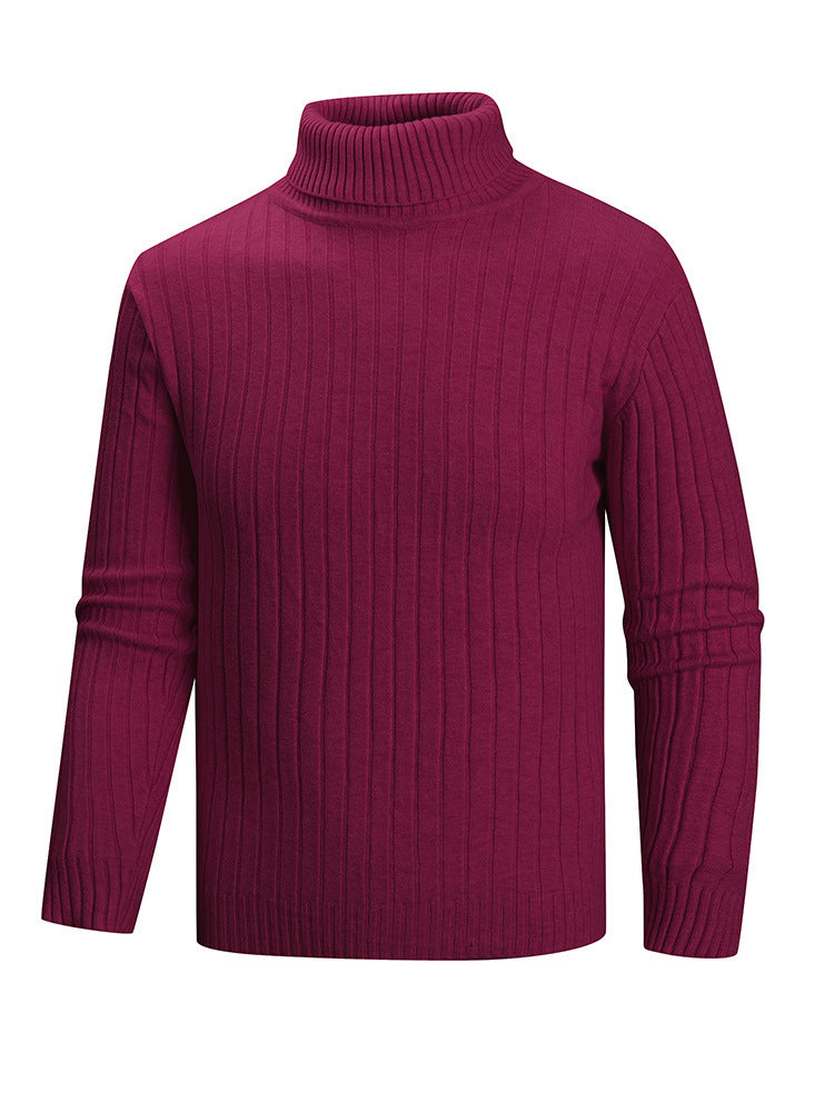 Herren Rollkragenpullover aus hochwertigem Feinstrick Stilzeits