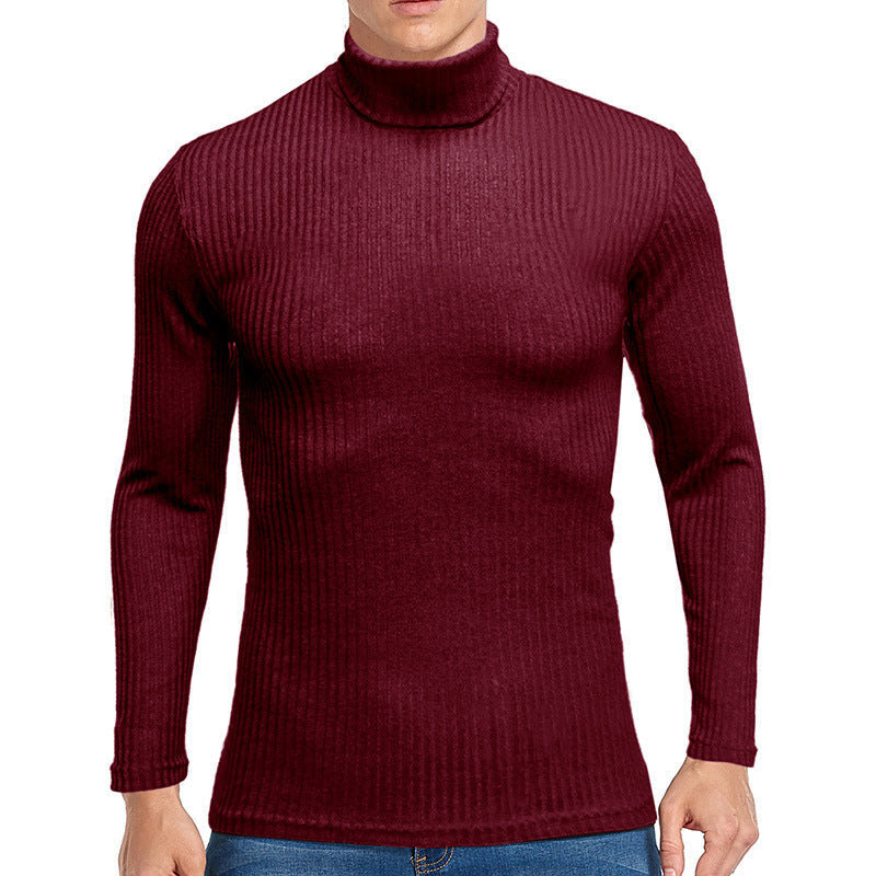 Herren feiner Rollkragenpullover aus strukturiertem Strick Stilzeits