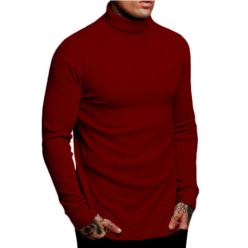 Herren modischer Rollkragenpullover Stilzeits
