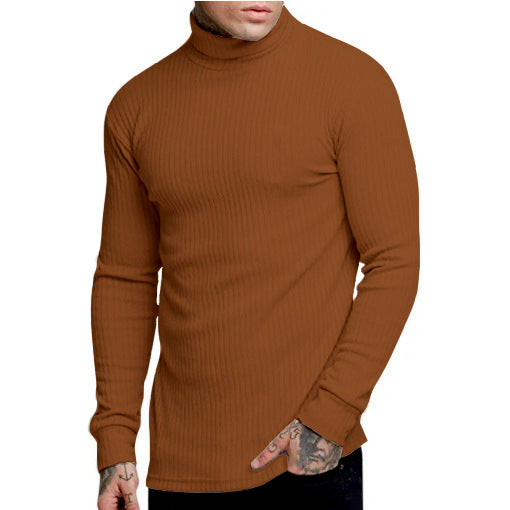 Herren modischer Rollkragenpullover Stilzeits