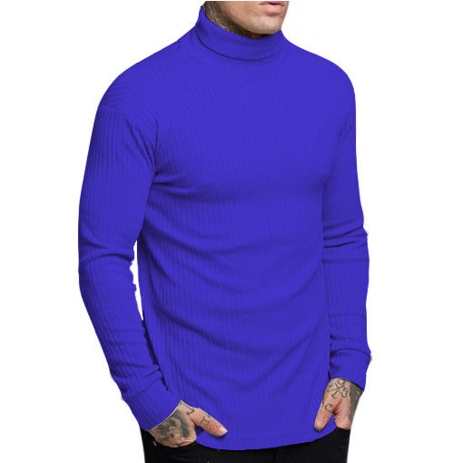 Herren modischer Rollkragenpullover Stilzeits