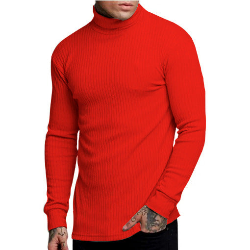 Herren modischer Rollkragenpullover Stilzeits