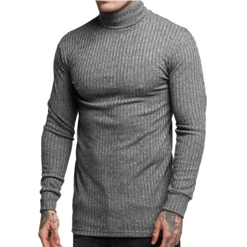 Herren modischer Rollkragenpullover Stilzeits