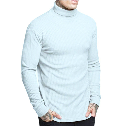 Herren modischer Rollkragenpullover Stilzeits