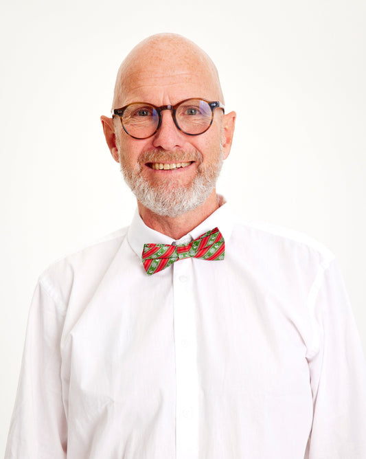 Weihnachts Butterfly - Weihnachtsbaum - Stilzeits