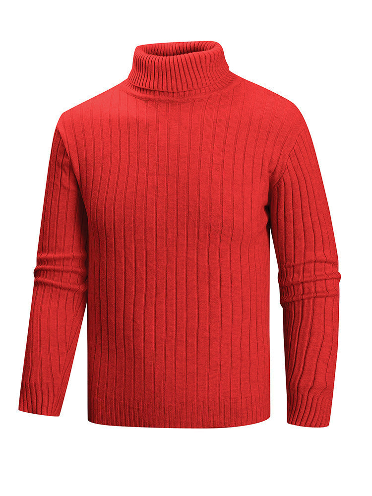 Herren Rollkragenpullover aus hochwertigem Feinstrick Stilzeits