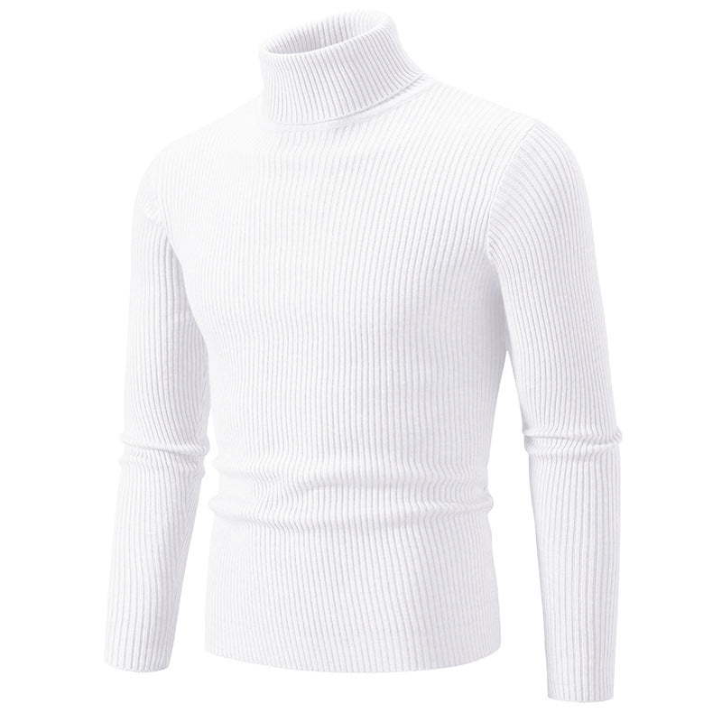 Herren feiner Rollkragenpullover aus langlebigem Strickmaterial Stilzeits