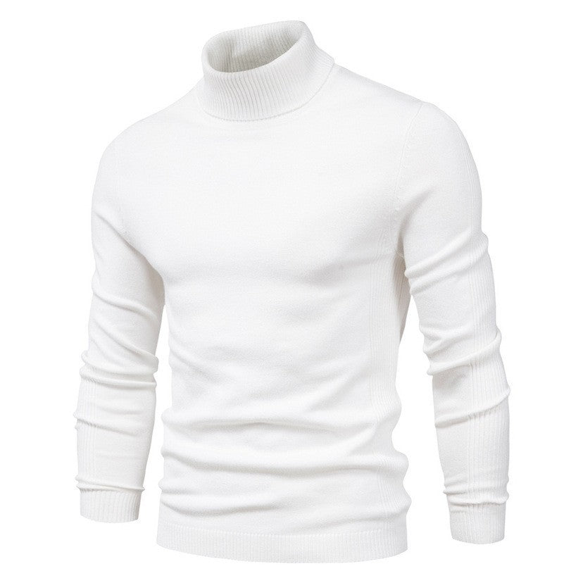 Herren modischer Rollkragenpullover aus feiner Merinowolle Stilzeits
