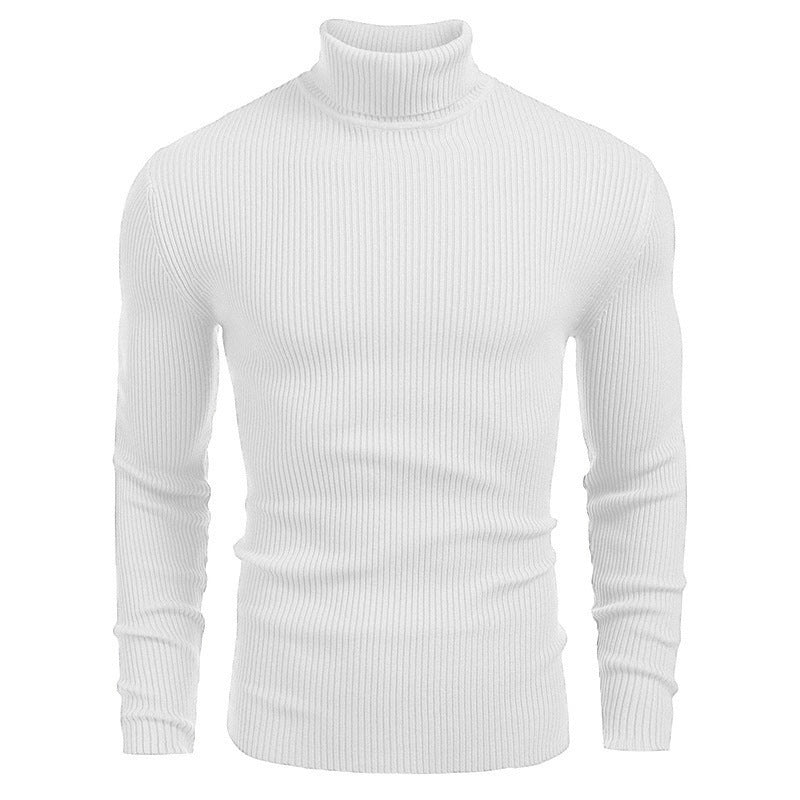 Herren eleganter Rollkragenpullover aus ribbed Strick Stilzeits