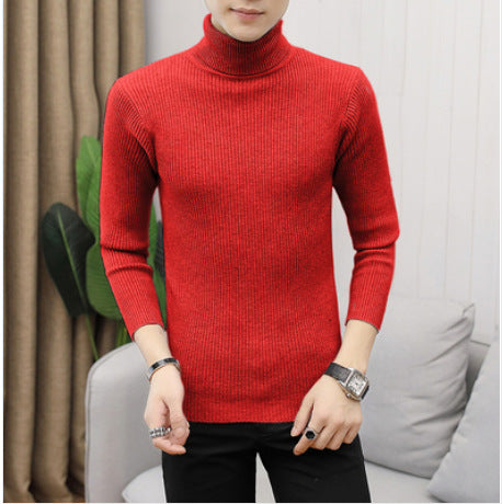 Herren Rollkragenpullover aus feiner Baumwolle mit strukturiertem Design Stilzeits