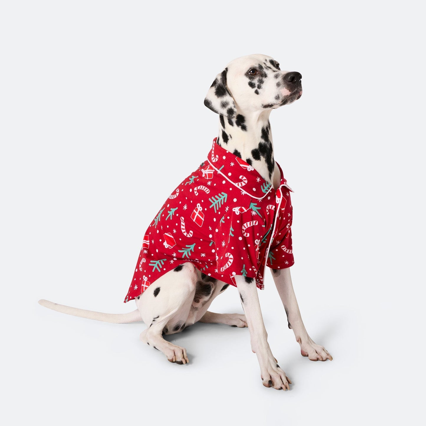 Rotes Weihnachtsmuster Weihnachtspyjama Familie